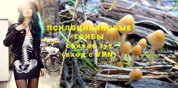 круглые Алзамай
