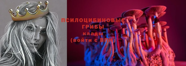 круглые Алзамай