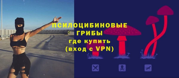 скорость Гусь-Хрустальный