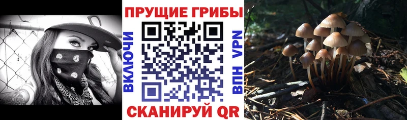 цена наркотик  Котлас  Галлюциногенные грибы ЛСД 