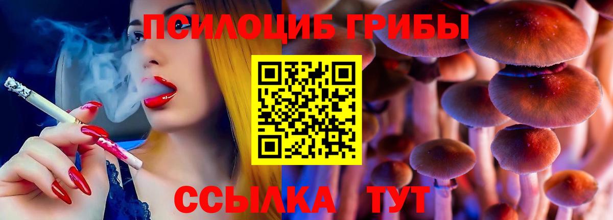 Галлюциногенные грибы Cubensis  Вход с VPN  купить  цена  Котлас 